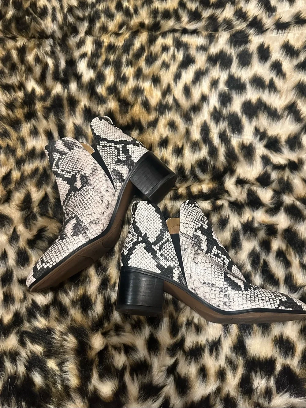 Franco Sarto Snake-Print Ankle Boots in Black and white